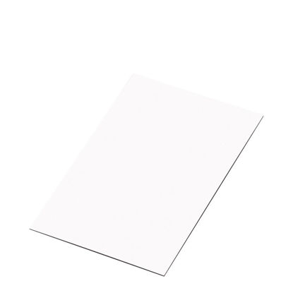 Picture of BIG PANEL- STEEL GLOSS white (60x120) 0.58mm