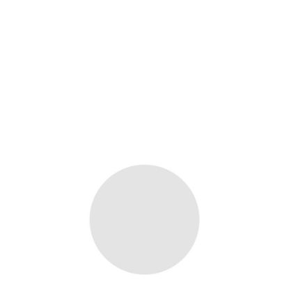 Picture of XMAS - ORNAMENT alum. insert for XBL2006